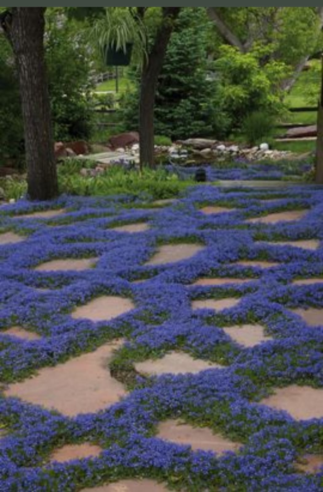 Yürüyüş yolu uygulamaları